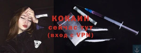 прущие грибы Володарск