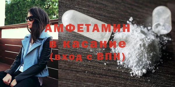 крисы Бородино