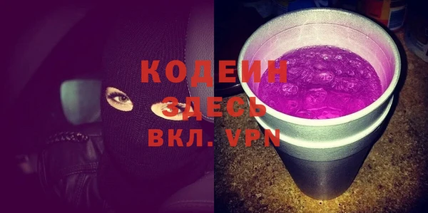 крисы Бородино